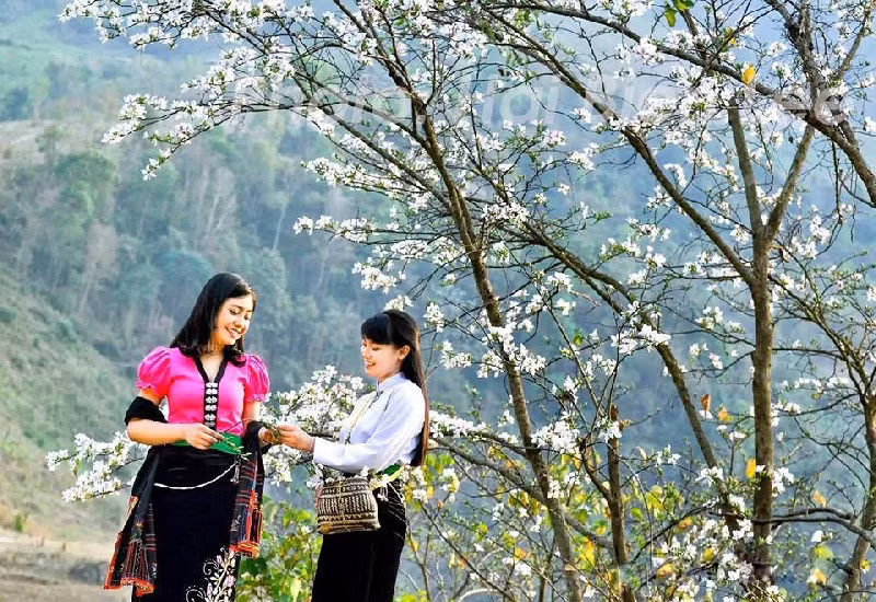 Điện Biên là tỉnh nổi tiếng với Lễ hội Hoa ban của người Thái, còn được gọi là lễ hội Xên Mường. Được tổ chức lần đầu tiên vào năm 2014 nhân dịp Kỷ niệm 60 năm Chiến thắng Điện Biên Phủ, đến nay Lễ hội Hoa ban đã trở thành điểm nhấn trong hoạt động du lịch hàng năm của tỉnh Điện Biên. Vào những ngày diễn ra lễ hội, du khách không chỉ được tham quan quần thể di tích Điện Biên Phủ mà còn có cơ hội trải nghiệm, thưởng thức nét đẹp vùng cao, khám phá sắc màu Tây Bắc trong không gian đậm đà bản sắc dân tộc. Ảnh: Baodantoc.vn.