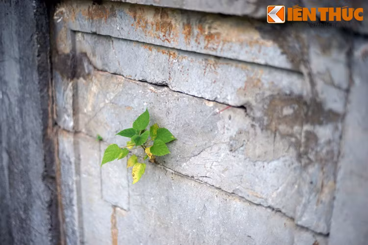 Các nhà nghiên cứu nhận định, lặng mộ đá cổ này có thể là nơi an nghỉ của bà chúa Nguyễn Thị Hoa Dung, vợ chúa Trịnh Doanh, mẹ chúa Trịnh Sâm. Sau ngày khai quật, thi hài người phụ nữ đã được trả về chỗ cũ. Danh phận của bà vẫn chưa được chính thức xác nhận cho đến ngày nay.