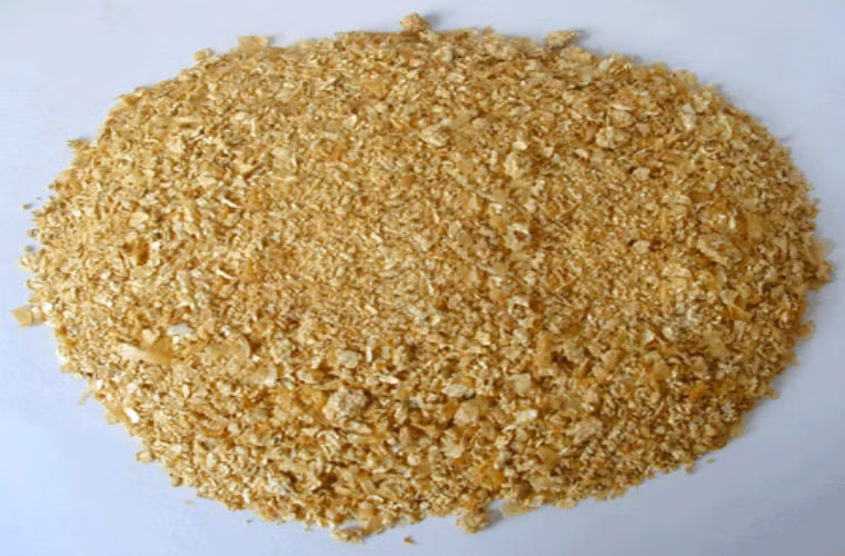 Cám lúa mì không chỉ có tác dụng hỗ trợ điều trị bệnh tiểu đường, cholesterol máu, mỡ máu, táo bón, béo phì, sâu răng và các bệnh khác, mà còn có thể giúp ngăn chặn sự xuất hiện của ung thư đại trực tràng. Cám lúa mì rất giàu chất xơ không hòa tan, có thể pha loãng chất gây ung thư kết tràng, đẩy nhanh tốc độ tiêu hóa của thức ăn qua đường ruột, thúc đẩy sự vận động của ruột, làm giảm nguy cơ gây ung thư kết tràng.
