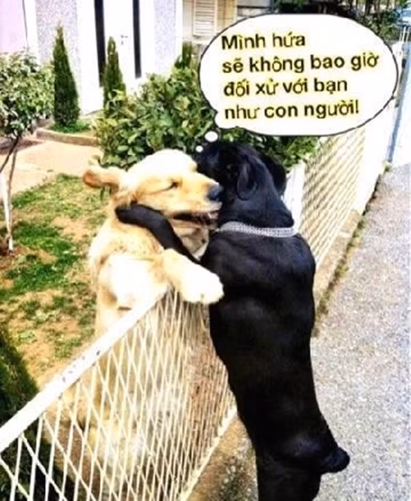 Chuyện tình cảm động.