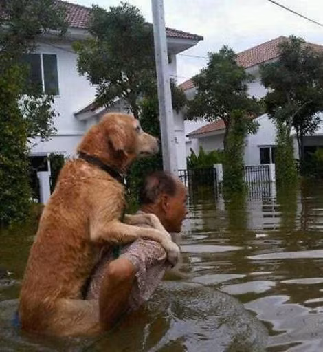"Sống trên đời, cần có một tấm lòng yêu thương"