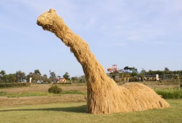 Hươu cao cổ