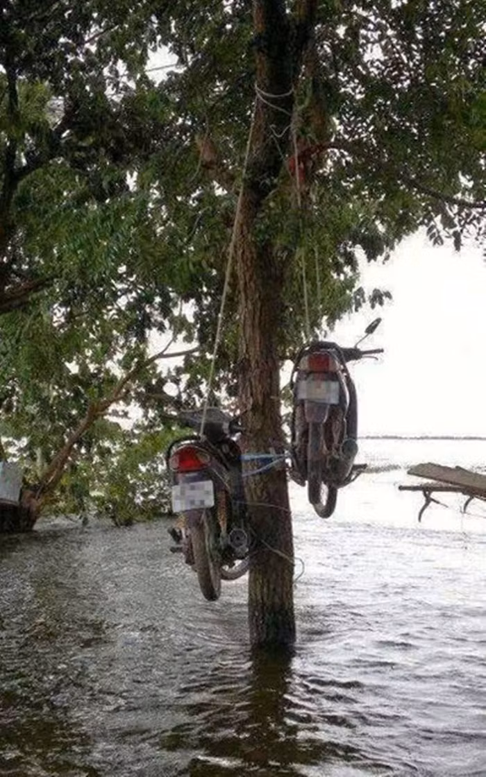 Cách bảo vệ tài sản trong mùa mưa bão.
