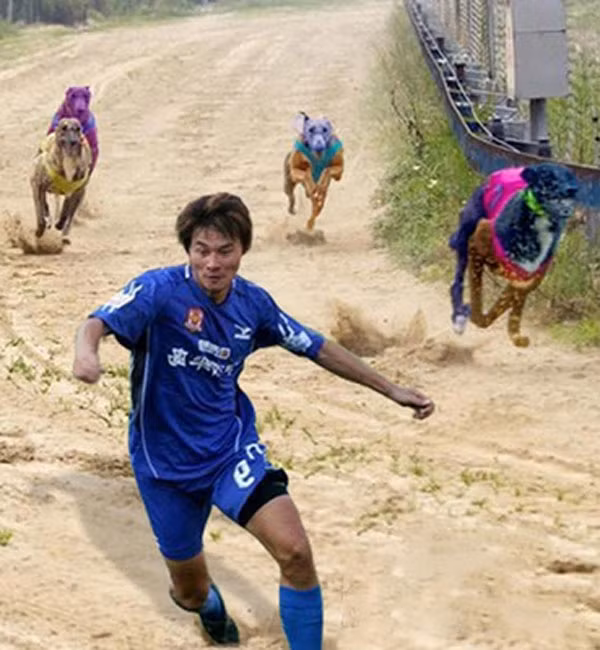 "Cuộc đua kỳ thú".