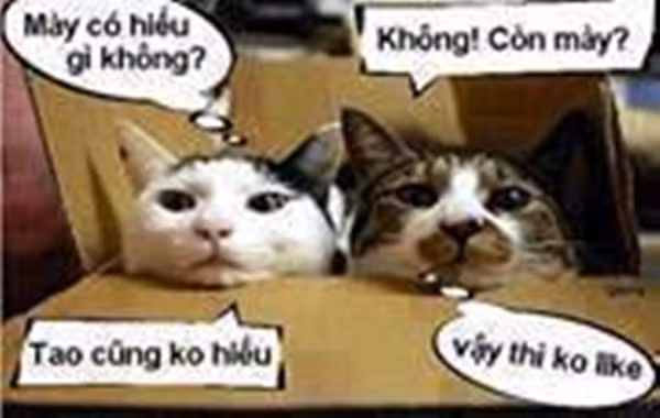 Chốt cuối cùng là... "câu like".