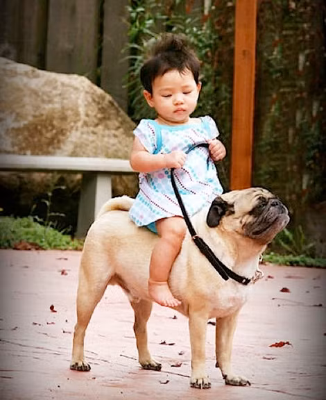 "Chúng mình đi chơi thôi"