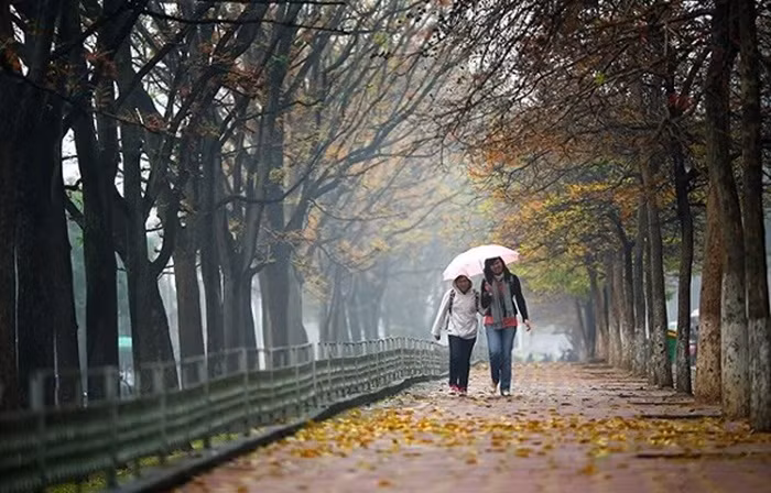 Đường đôi Kim Mã được các cặp tình nhân chọn làm nơi hẹn hò bởi họ có thể đi bộ cùng người yêu, ngắm nhìn những chiếc lá rơi, thả hồn vào cảnh sắc thơ mộng.
