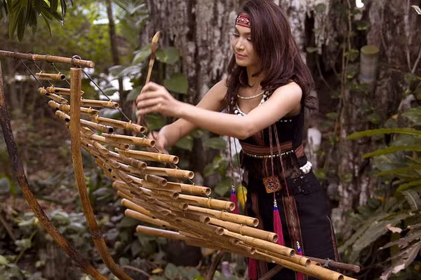 Theo truyền thống, đàn T’rưng chỉ được chơi trên nương rẫy, kiêng đánh trong nhà và trong làng. Người đánh đàn dùng dùi bằng tre hoặc gỗ gõ vào ống tạo ra âm thanh. Đặc trưng âm sắc của đàn T’rưng là tạo ra cảm giác như tiếng suối róc rách, tiếng thác đổ, tiếng xào xạc của rừng tre khi gió thổi. Bởi thế mỗi khi nghe tiếng đàn T’rưng, người nghe nghĩ ngay đến đại ngàn Tây Nguyên. Ảnh: Báo Gia Lai.