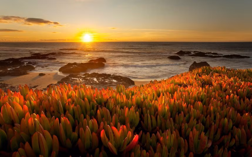 Big Sur, California (Mỹ).
