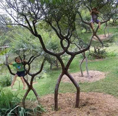 Những gốc cây có chân, tay, thân mình, đầu giống người.