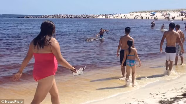 Đám đông đã tụ tập trên bãi biển Panama City ở Florida sau khi một ngư dân kéo con cá mập vào bờ cát trắng.