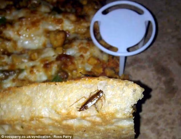 Con gián kẹp trong miếng bánh pizza của nhà hàng Munchies takeaway ở thành phố Leeds (Anh).
