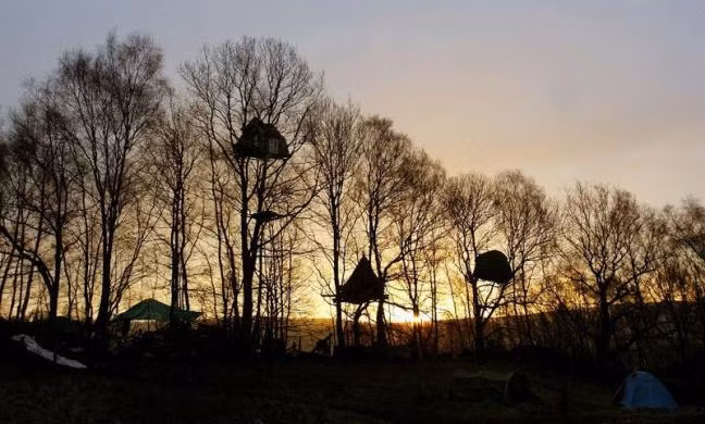 Những ngôi nhà trên cây độc đáo ở khu Nine Ladies, Derbyshire, phía Bắc nước Anh.