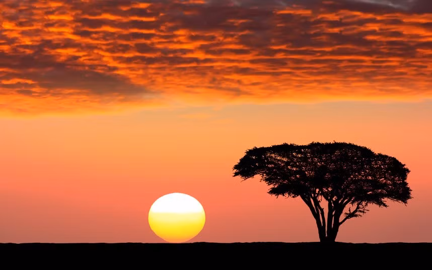 Maasai Mara, Kenya (Mỹ).