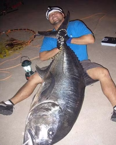 Cá khế vây vàng nặng 72,8 kg.