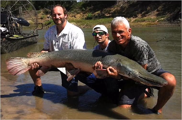 Chú cá măng này dài 2m, nặng 50 kg. Chú được bắt tại sông Triniti, bang Texas, Mỹ.