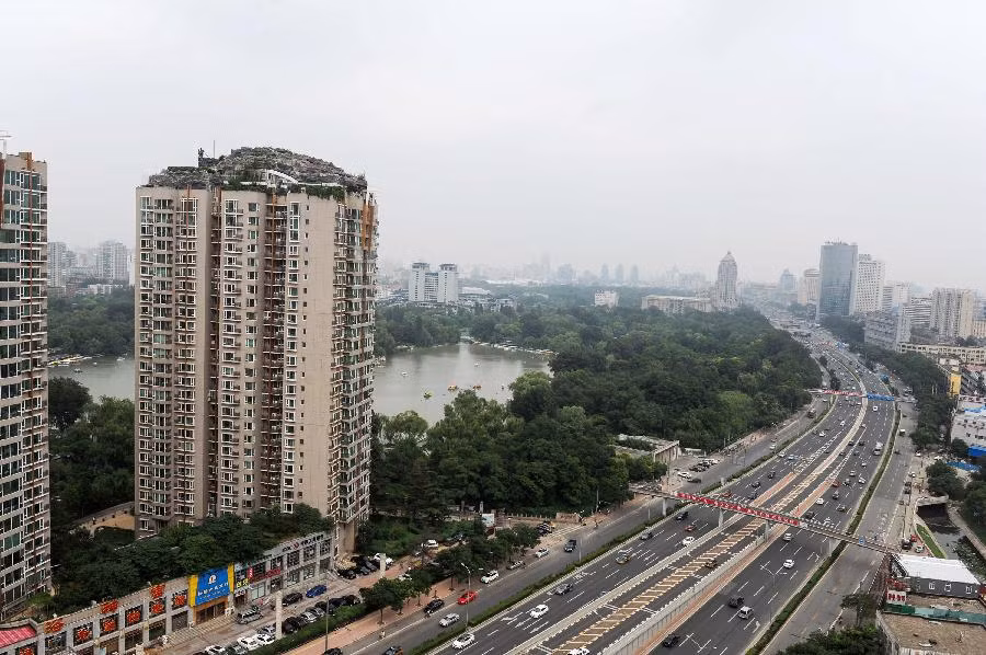 Giáo sư Zhang Lin, chủ nhân của biệt thự kỳ quái, được cho là đã mua lại tầng mái rộng 100 m2 của tòa nhà vào năm 2007. Trước khi bắt tay vào xây dựng công trình độc đáo của mình, giáo sư Zhang đã biến tầng mái thành một khuôn viên rộng 1.000 m2.