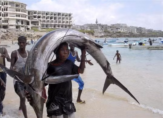 Nam thanh niên người Somalia vác con cá “khủng” trên đầu gần bờ biển Ấn Độ Dương tại Mogadishu.