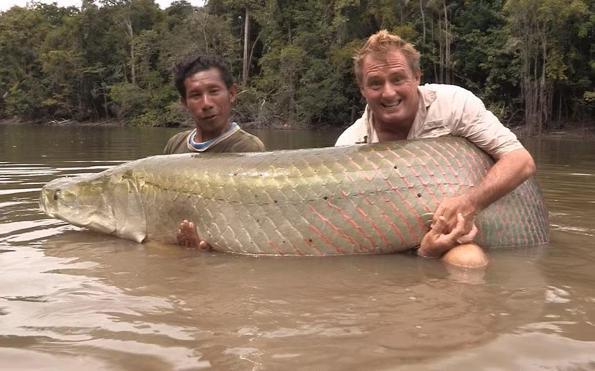 Anh Steve Townson, người Anh, đã câu được con cá khổng lồ nặng khoảng 112 kg tại một dòng sông ở Nam Mỹ.