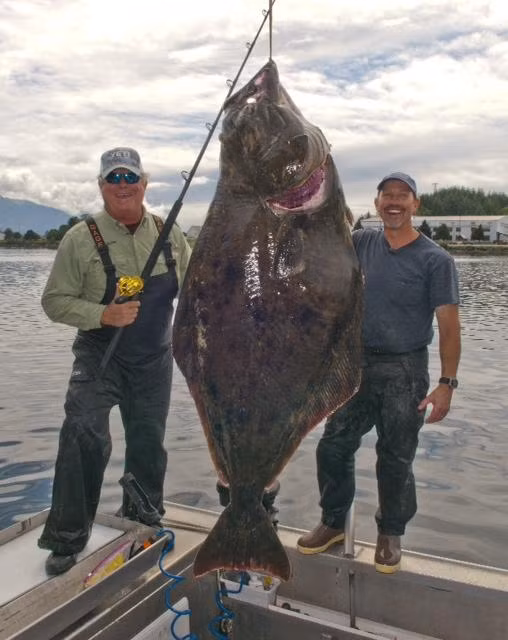 Chú cá bơn nặng 122 kg do cần thủ John Brownlee câu được ngoài khơi Alaska (Mỹ).