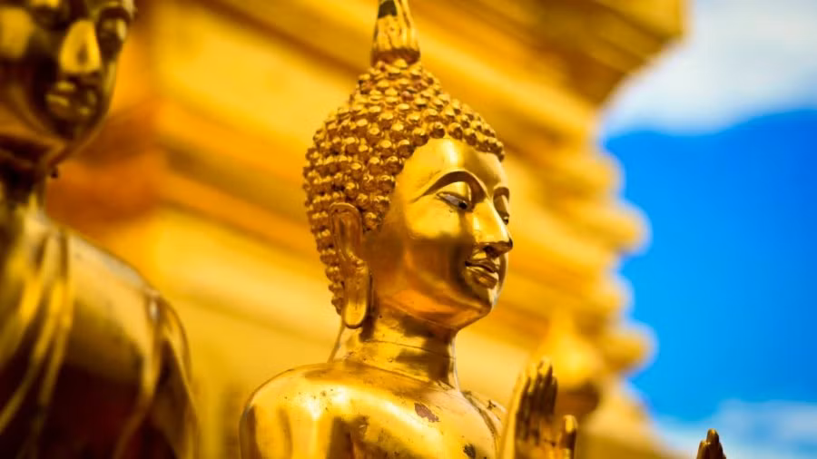 Con người nếu nuôi dưỡng 3 loại tâm tặc này ắt tài lộc hao mòn Con nguoi neu nuoi duong 3 loai tam tac nay at tai loc hao mon
