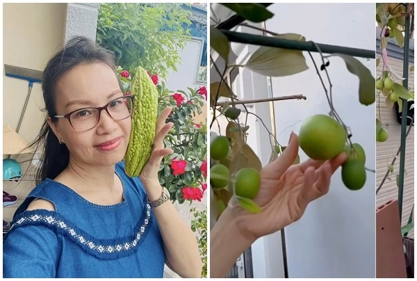 Khu vườn đủ loại cây trái trong biệt thự 400m2 của Cẩm Ly