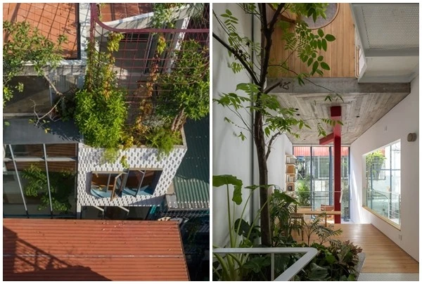 Nhà Hà Nội trong ngõ hẹp vẫn ngập sáng và thông gió