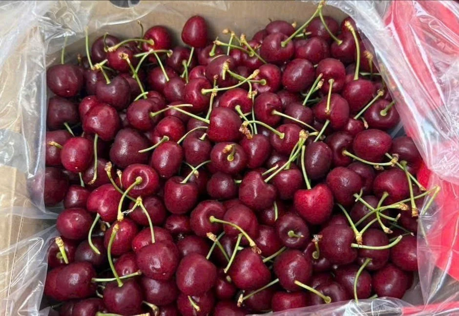 Gần Tết, cherry nhập khẩu bất ngờ giảm giá sâu