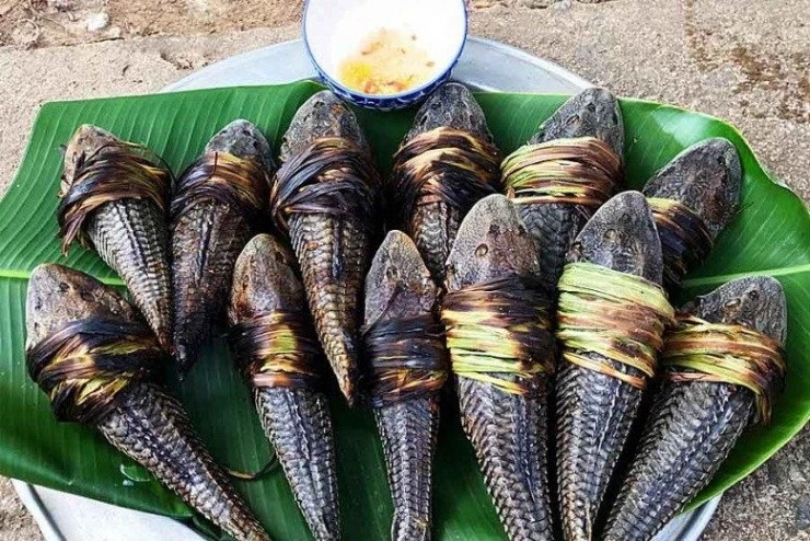 Loại cá xưa nhìn khiếp vía nay là đặc sản hút khách