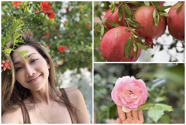 Khu vườn rực rỡ sắc hoa của Kim Hiền trước khi ly hôn chồng Việt kiều 