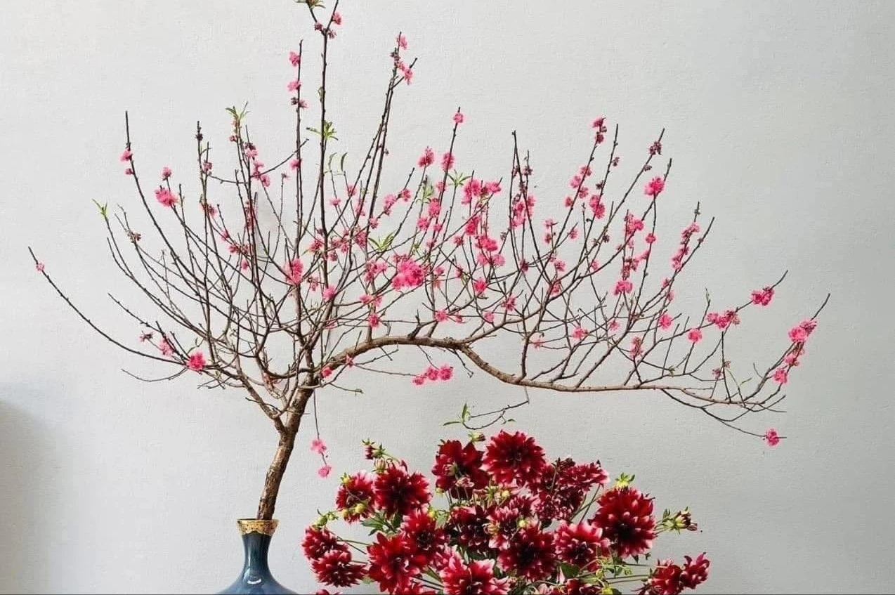 Đào huyền mini vài trăm nghìn đồng/cành hút khách chơi Tết Bính Ngọ 2026