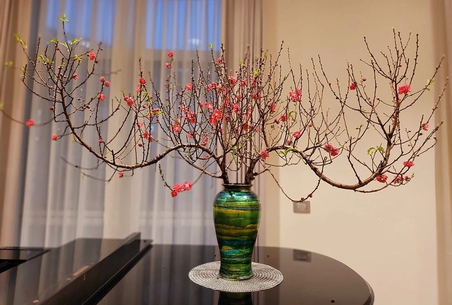 5 loại hoa nên cắm ngày Tết để hút lộc cả năm