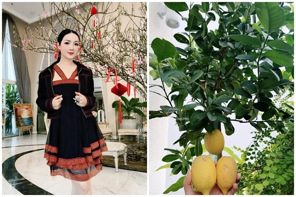 Bên trong biệt thự 1.000m2 đón Tết của Hoa hậu Giáng My