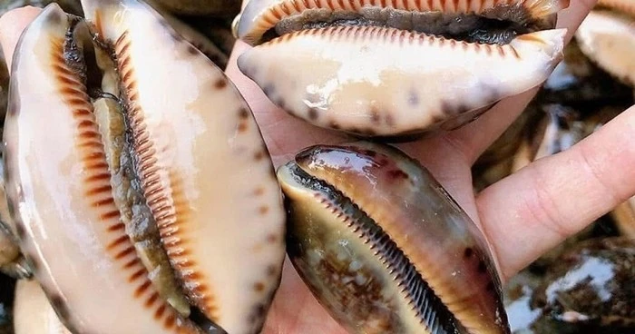 Đặc sản nghe tên "ngượng đỏ mặt" 150.000 đồng/kg đắt khách