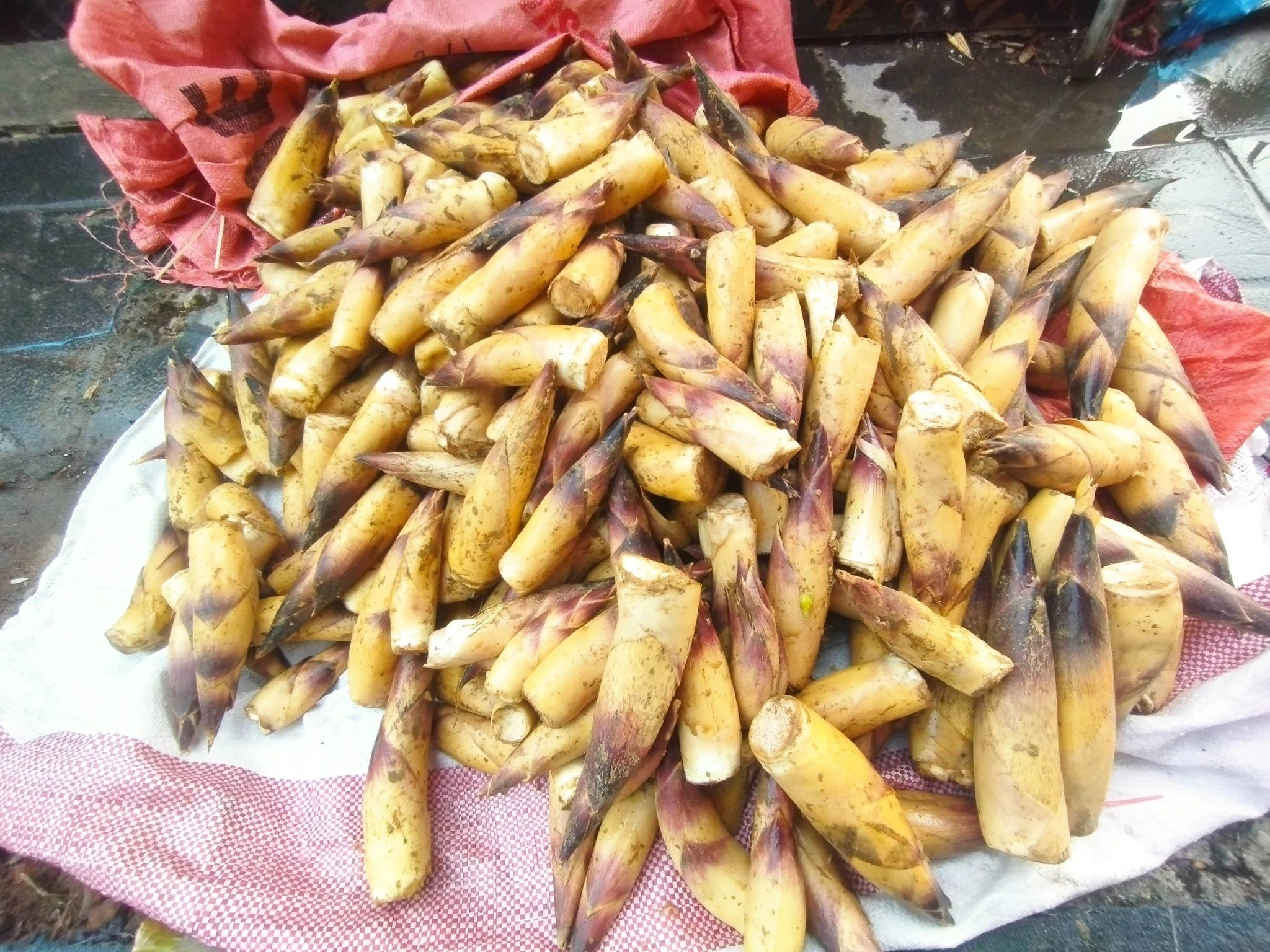 Măng vầu Tây Bắc đầu mùa giá cao vẫn 'cháy hàng'