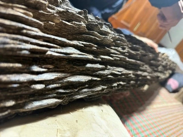 Cận cảnh khúc gỗ quý được trả hơn nửa tỷ đồng, chủ quyết không bán 