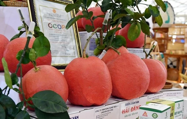 Những đặc sản hút khách tại Hội chợ Mùa Xuân 2026