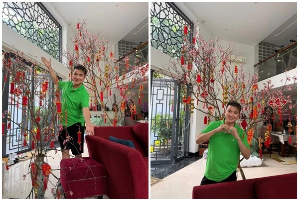 Cận cảnh biệt thự ngập hoa đào đón Tết của Đàm Vĩnh Hưng