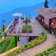 Tránh nóng giới trẻ rủ nhau lên Tam Đảo nghỉ dưỡng cuối tuần