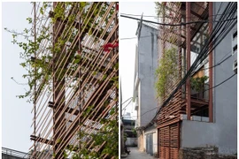 Không có giếng trời, nhà Hà Nội vẫn thoáng sáng lạ thường 