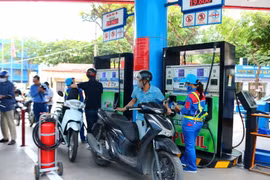 Xăng sinh học mở ra cơ hội lớn cho nông nghiệp Việt Nam