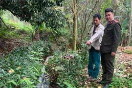 Xử phạt hơn 100 triệu đồng chủ trang trại lợn gây ô nhiễm ở Phú Thọ