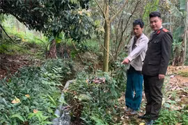 Xử phạt hơn 100 triệu đồng chủ trang trại lợn gây ô nhiễm ở Phú Thọ