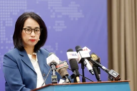 Bộ Ngoại giao lên tiếng về việc ông Chu Đăng Khoa bị bắt ở Nam Phi