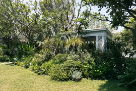 Cận cảnh ngôi nhà giữa rừng cây của 'ông bố đông con nhất showbiz Việt'