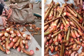 Thứ tưởng bỏ đi hóa "đặc sản", có tiền chưa chắc mua được 