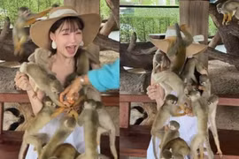 Nữ YouTuber xinh đẹp gặp sự cố không ngờ khi du lịch