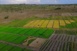 Trang trại Quang Linh Vlogs ở Angola chỉ là phim trường ?