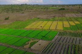 Trang trại Quang Linh Vlogs ở Angola chỉ là phim trường ?