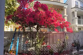 Ngôi nhà của cố ca sĩ Phi Nhung tại Mỹ giờ ra sao? 